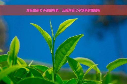 冰岛古茶七子饼价格表：云南冰岛七子饼茶价格解析