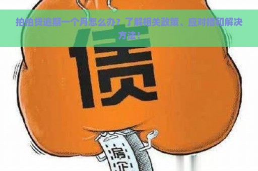 拍拍贷逾期一个月怎么办？了解相关政策、应对措和解决方法！