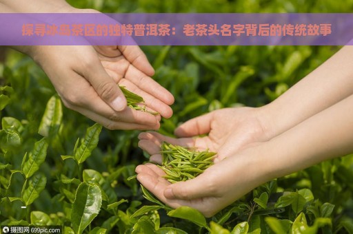 探寻冰岛茶区的独特普洱茶：老茶头名字背后的传统故事