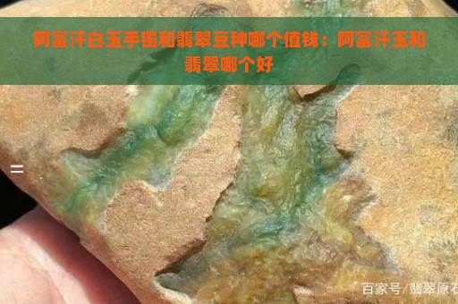 阿富汗白玉手镯和翡翠豆种哪个值钱：阿富汗玉和翡翠哪个好