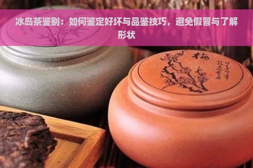 冰岛茶鉴别：如何鉴定好坏与品鉴技巧，避免假冒与了解形状