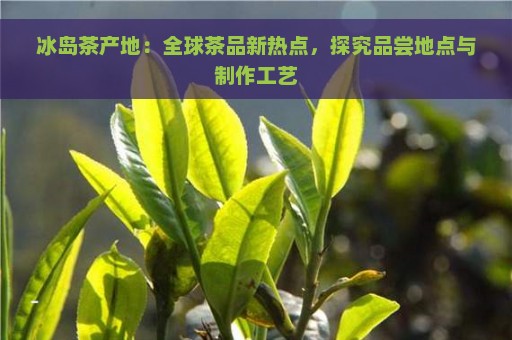 冰岛茶产地：全球茶品新热点，探究品尝地点与制作工艺