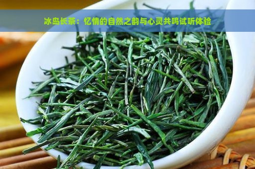 冰岛长茶：忆情的自然之韵与心灵共鸣试听体验