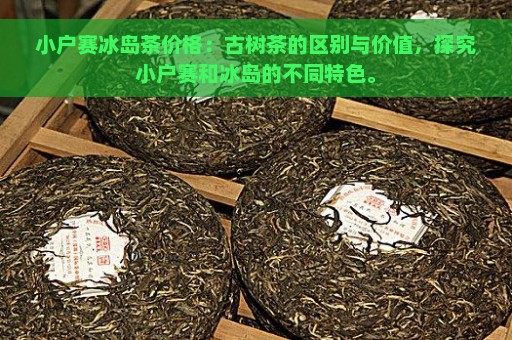 小户赛冰岛茶价格：古树茶的区别与价值，探究小户赛和冰岛的不同特色。