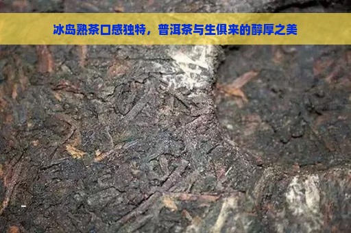 冰岛熟茶口感独特，普洱茶与生俱来的醇厚之美