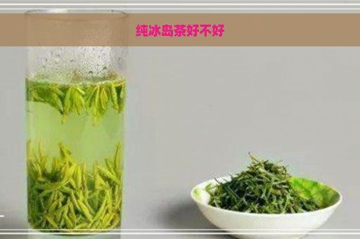 纯冰岛茶好不好