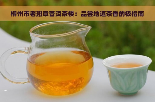 柳州市老班章普洱茶楼：品尝地道茶香的极指南