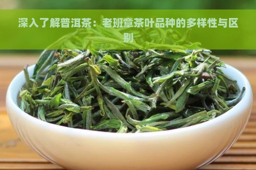 深入了解普洱茶：老班章茶叶品种的多样性与区别