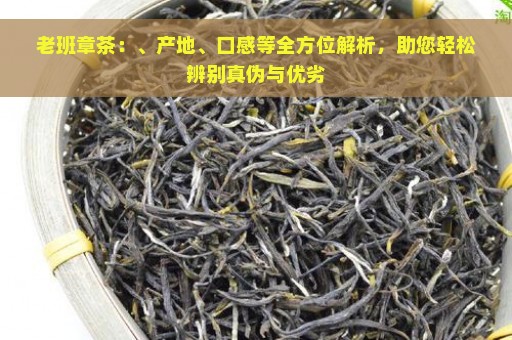 老班章茶：、产地、口感等全方位解析，助您轻松辨别真伪与优劣