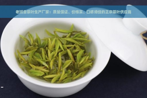 老班章茶叶生产厂家：质量保证、价格实、口感绝佳的正宗茶叶供应商