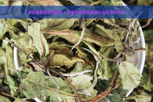 老班章茶品价格解析：云南古树普洱茶排行与品质对比表