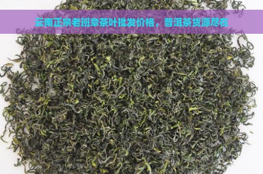 云南正宗老班章茶叶批发价格，普洱茶货源尽在