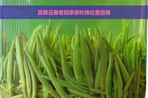 昆明云南老班章茶叶场位置指南