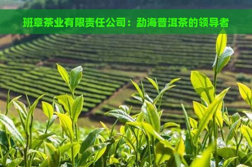 班章茶业有限责任公司：勐海普洱茶的领导者