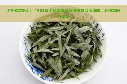 老班章龙巴门：1988年老班章龙珠茶价格与品质详解，老班章吧讨论中