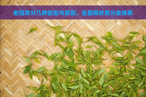 老班章分几种类型与级别，全面解析其分类体系