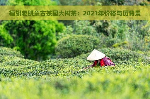 福翎老班章古茶园大树茶：2021年价格与历背景