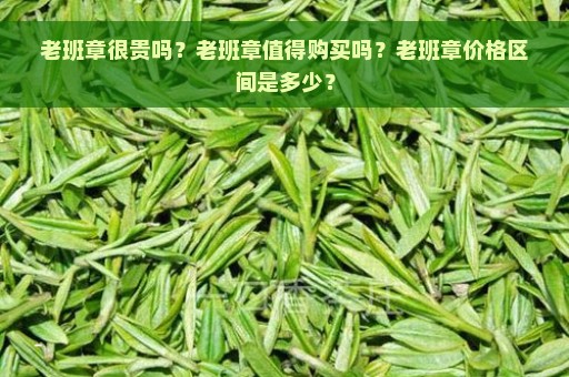 老班章很贵吗？老班章值得购买吗？老班章价格区间是多少？