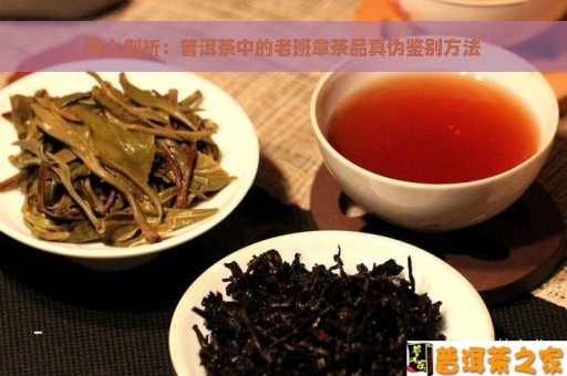 深入剖析：普洱茶中的老班章茶品真伪鉴别方法