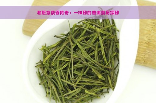 老班章茶香传奇：一神秘的普洱茶历探秘