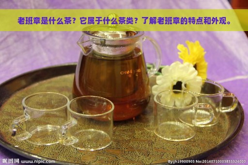 老班章是什么茶？它属于什么茶类？了解老班章的特点和外观。