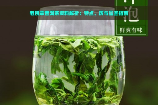 老班章普洱茶资料解析：特点、历与品鉴指南