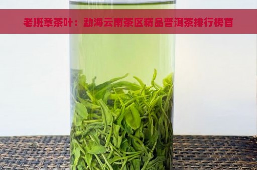 老班章茶叶：勐海云南茶区精品普洱茶排行榜首