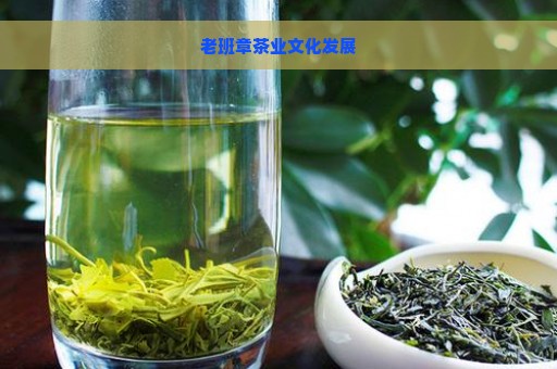 老班章茶业文化发展