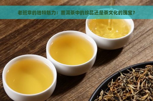 老班章的独特魅力：普洱茶中的珍品还是茶文化的瑰宝？