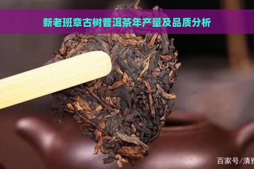 新老班章古树普洱茶年产量及品质分析