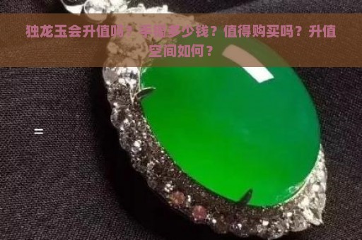 独龙玉会升值吗？手镯多少钱？值得购买吗？升值空间如何？