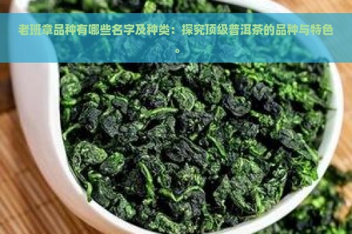 老班章品种有哪些名字及种类：探究顶级普洱茶的品种与特色。