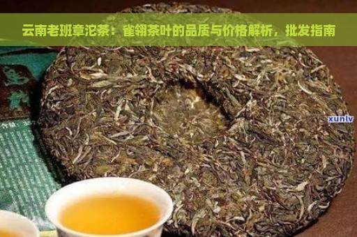 云南老班章沱茶：雀翎茶叶的品质与价格解析，批发指南