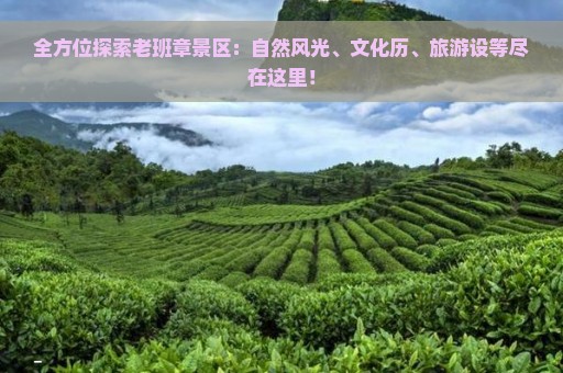 全方位探索老班章景区：自然风光、文化历、旅游设等尽在这里！