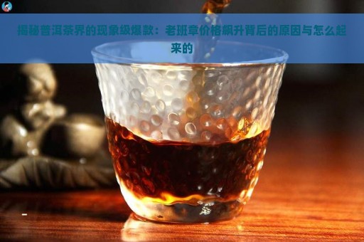 揭秘普洱茶界的现象级爆款：老班章价格飙升背后的原因与怎么起来的