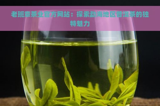 老班章茶业官方网站：探索勐海地区普洱茶的独特魅力