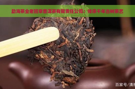 勐海茶业老班章普洱茶有限责任公司：传承千年古树茶艺