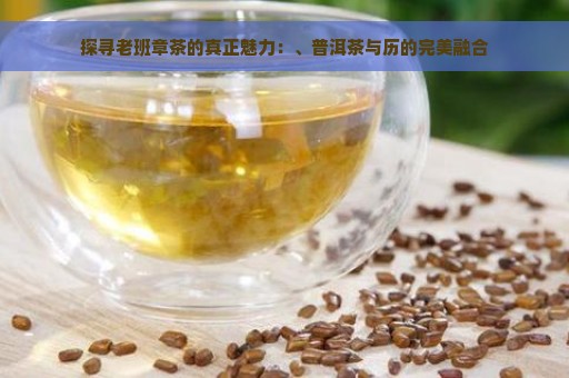 探寻老班章茶的真正魅力：、普洱茶与历的完美融合