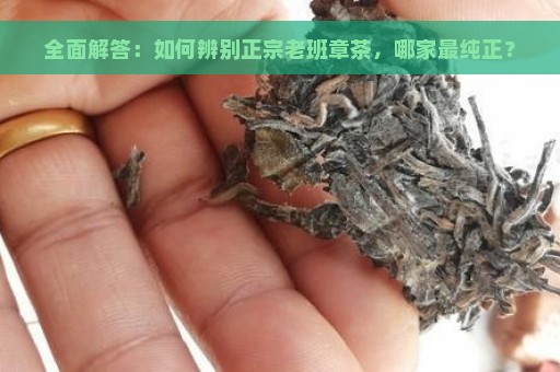 全面解答：如何辨别正宗老班章茶，哪家最纯正？