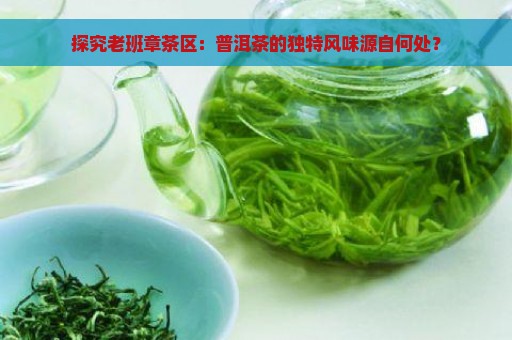 探究老班章茶区：普洱茶的独特风味源自何处？