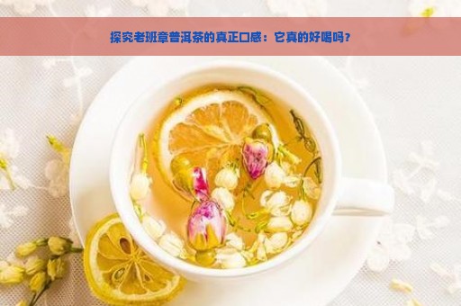 探究老班章普洱茶的真正口感：它真的好喝吗？