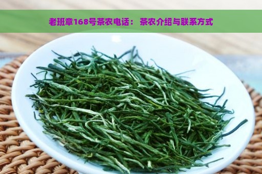 老班章168号茶农电话： 茶农介绍与联系方式