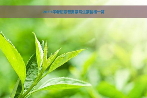 2011年老班章普洱茶与生茶价格一览