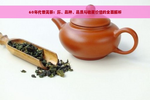 60年代普洱茶：历、品种、品质与收藏价值的全面解析