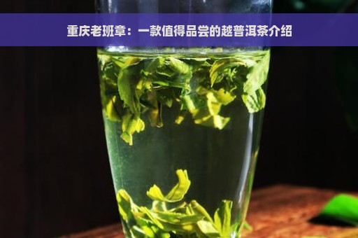 重庆老班章：一款值得品尝的越普洱茶介绍