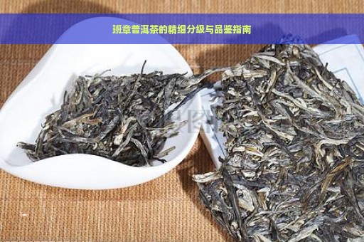 班章普洱茶的精细分级与品鉴指南