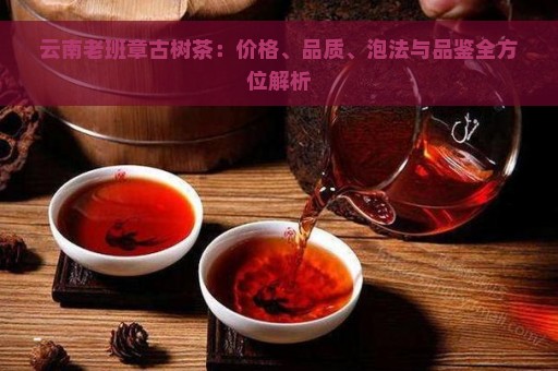 云南老班章古树茶：价格、品质、泡法与品鉴全方位解析