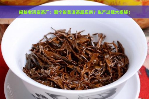 揭秘老班章茶厂：哪个的普洱茶最正宗？生产过程大揭秘！