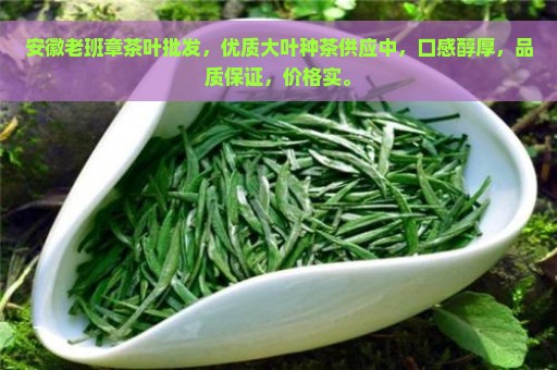 安徽老班章茶叶批发，优质大叶种茶供应中，口感醇厚，品质保证，价格实。