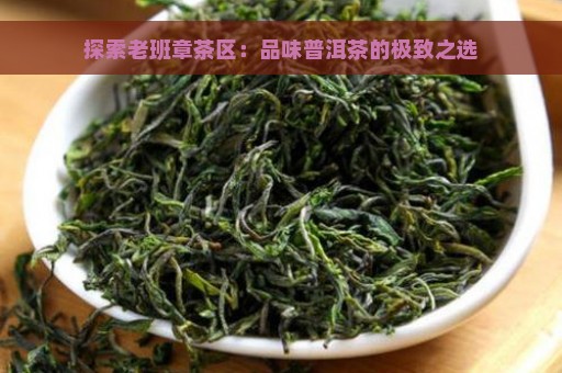 探索老班章茶区：品味普洱茶的极致之选